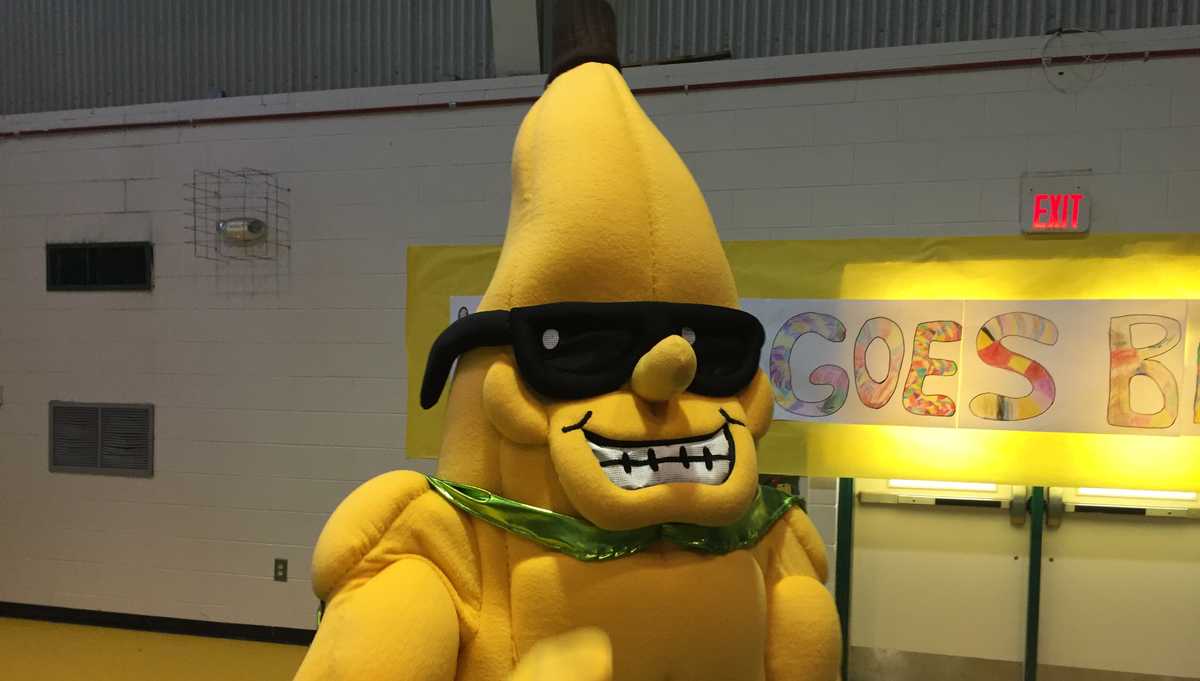 Split, the mascot of the Savannah Bananas dances before the start of  News Photo - Getty Images