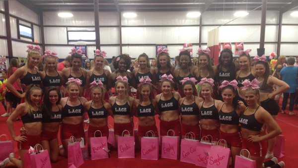 Cheer Savannah CSA PRO SHOP > Practice Wear - Pink Leopard Cheer Savannah  Sports Bra