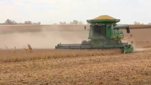 Farmers warn of 'food supply shocks' as Iran war disrupts global shipping