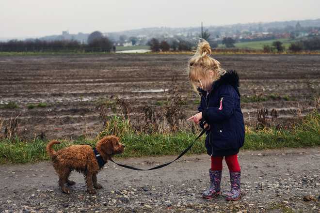 Little&#x20;girl&#x20;talking&#x20;to&#x20;dog