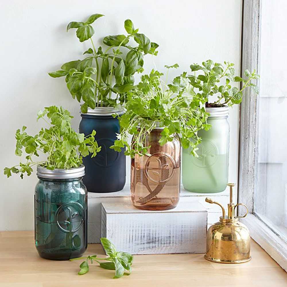 Modern Sprout Mason Jar Indoor Herb Garden