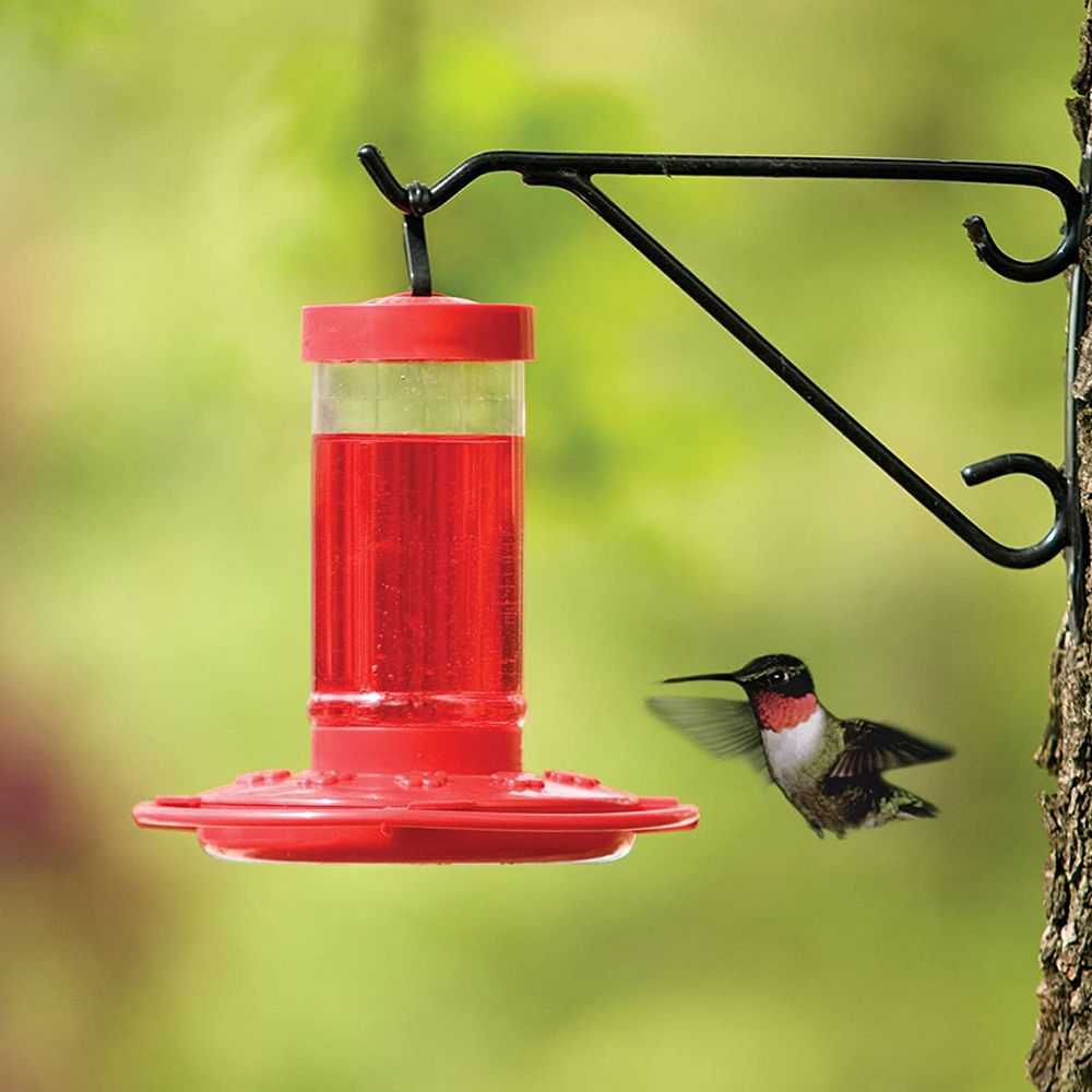 First Nature 16-Ounce Hummingbird Feeder