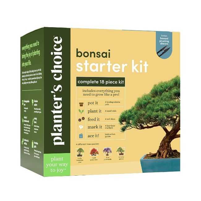 Bonsai Starter Kit