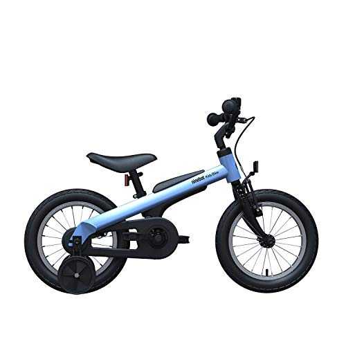 Segway Bike for Boys and Girls