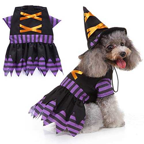 Halloween For Dogs - Hocus Pocus Co - Witches Wanted Apply Within - Fu -  Pawfect House ™