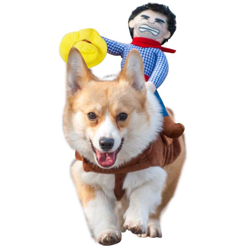 The best new Halloween pet costumes for 2023 –