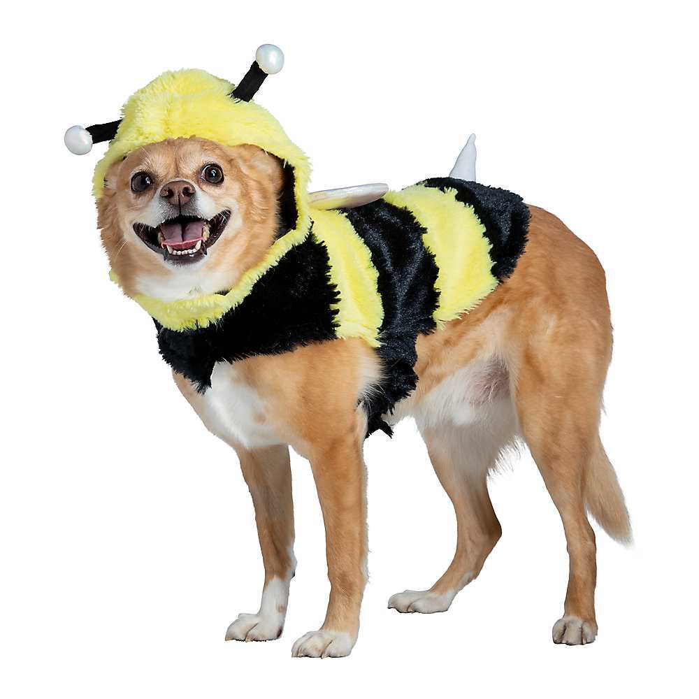 Abbylike Halloween Cowboy Hundekostüm Set – 2-teilig Mit Hut, Für Mittlere Hunde