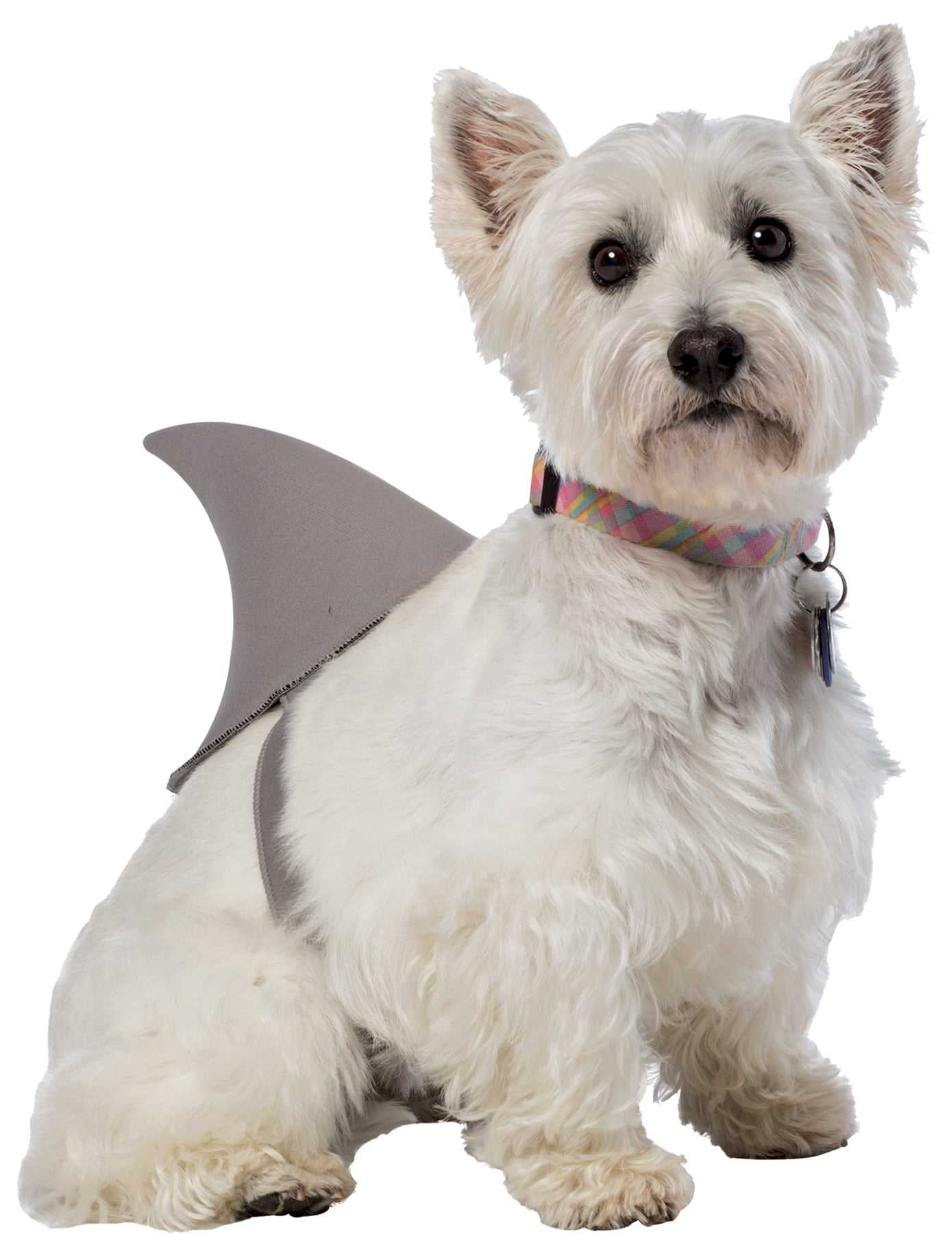 5 Best Dog Halloween Costumes of 2023