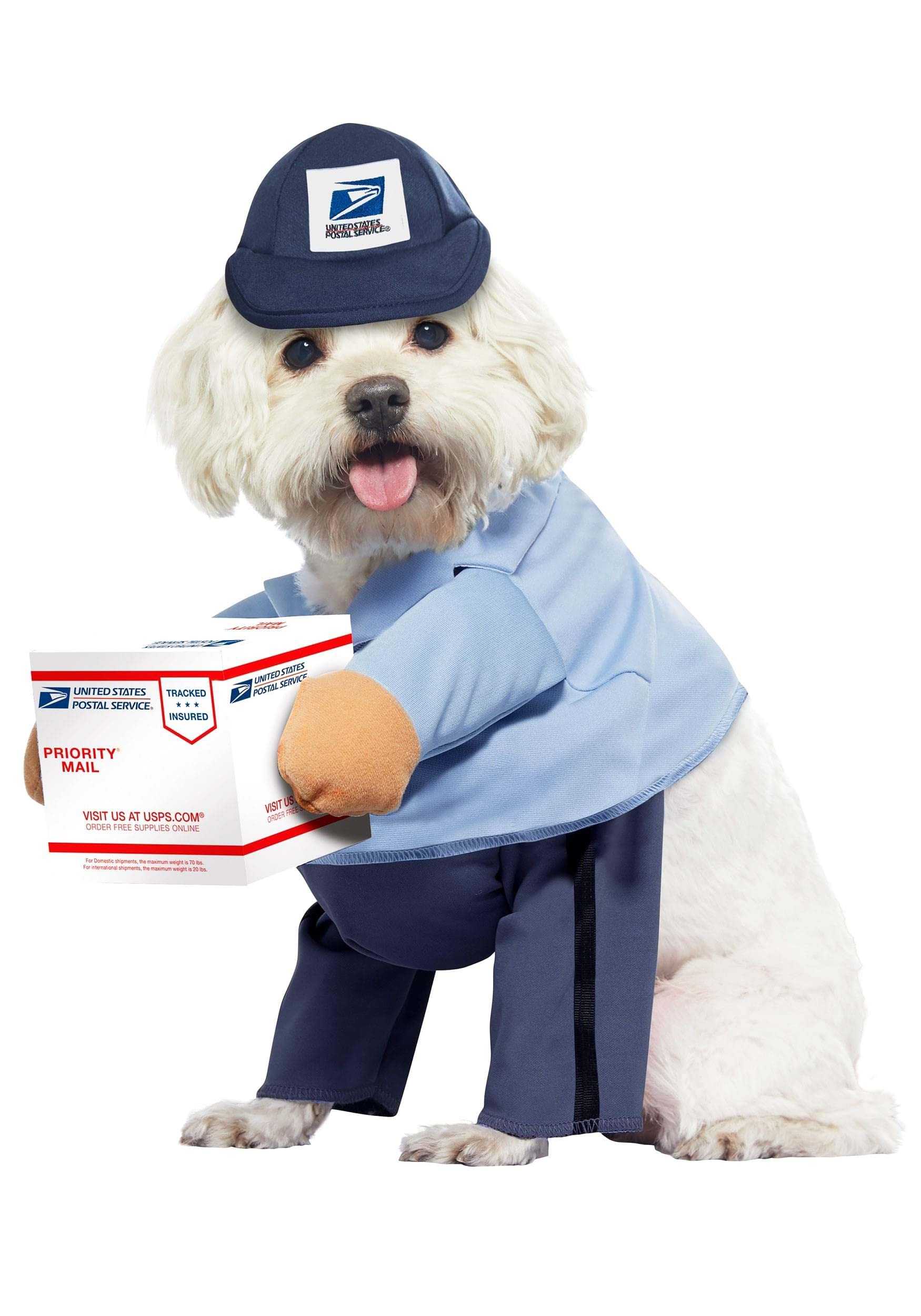 Dog Mail Carrier Costume Dog Mail Carrier Costume