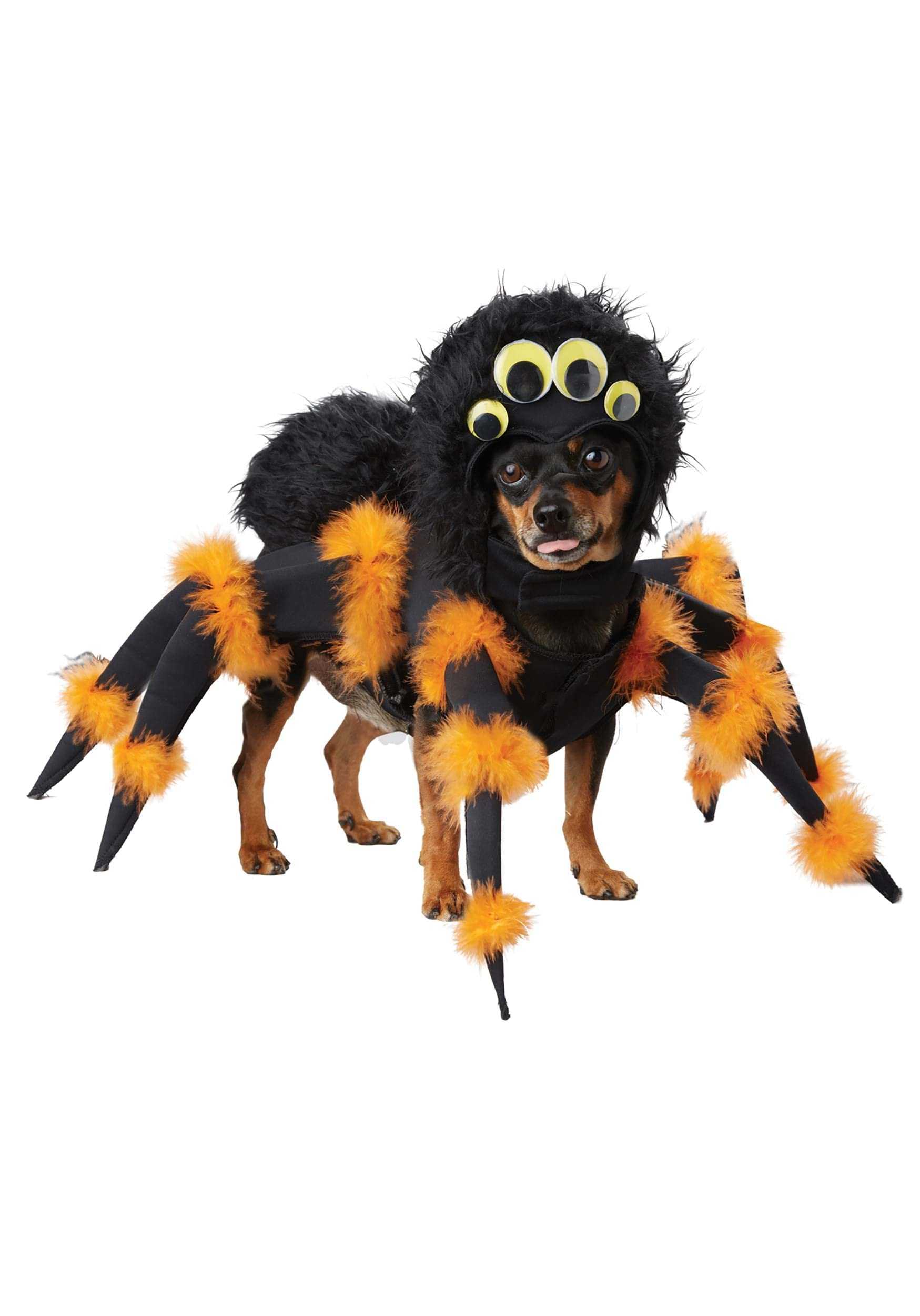 Spider Dog Costume Costume Spider Dog Costume Costume