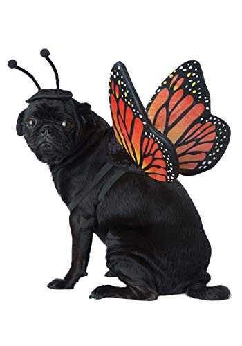 Pet Butterfly Costume Pet Butterfly Costume