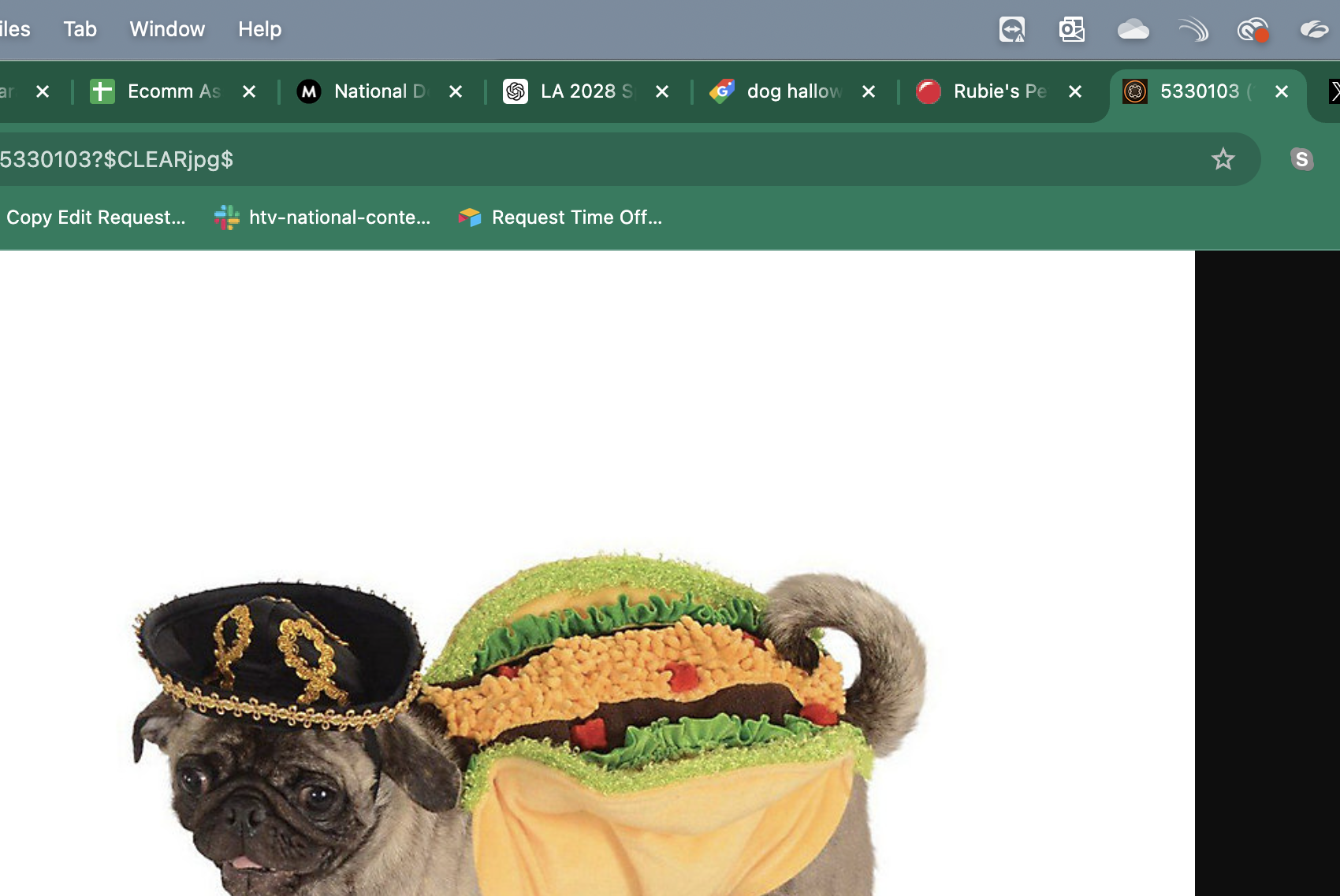 Rubie's Pet Shop Halloween Taco Dog Costume