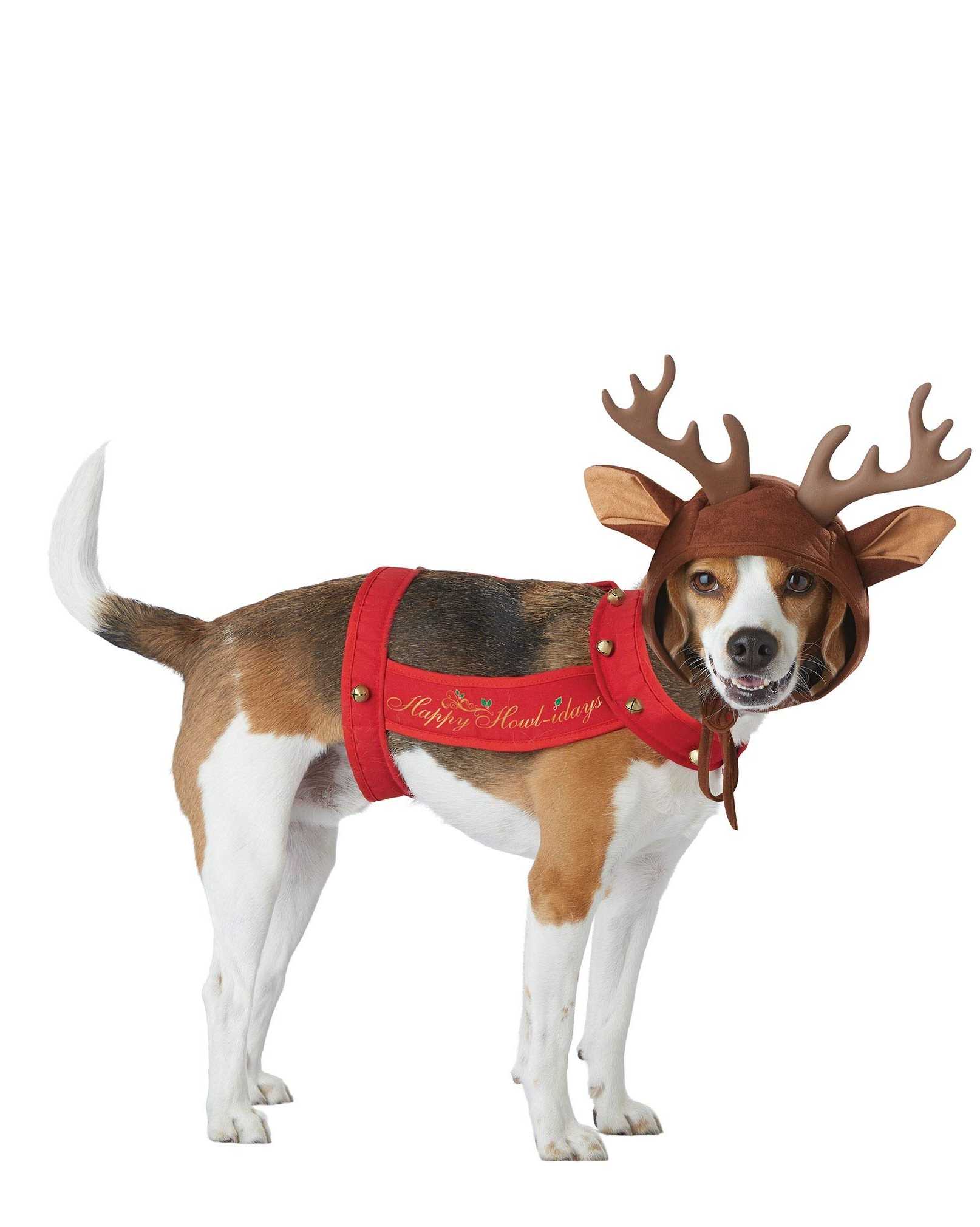 California Costumes Dog Reindeer Costume