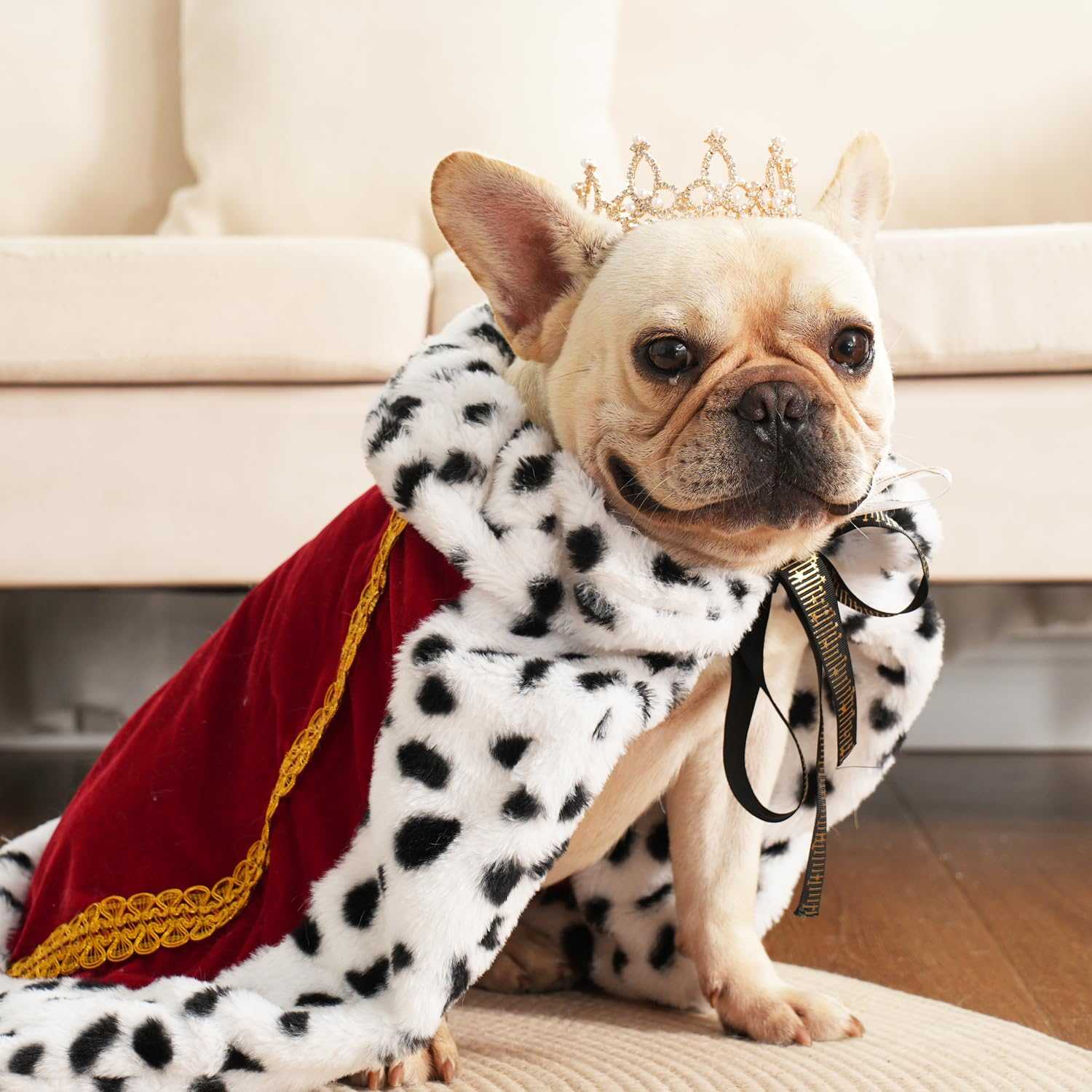 16 Halloween costumes for dogs that'll have tails wagging