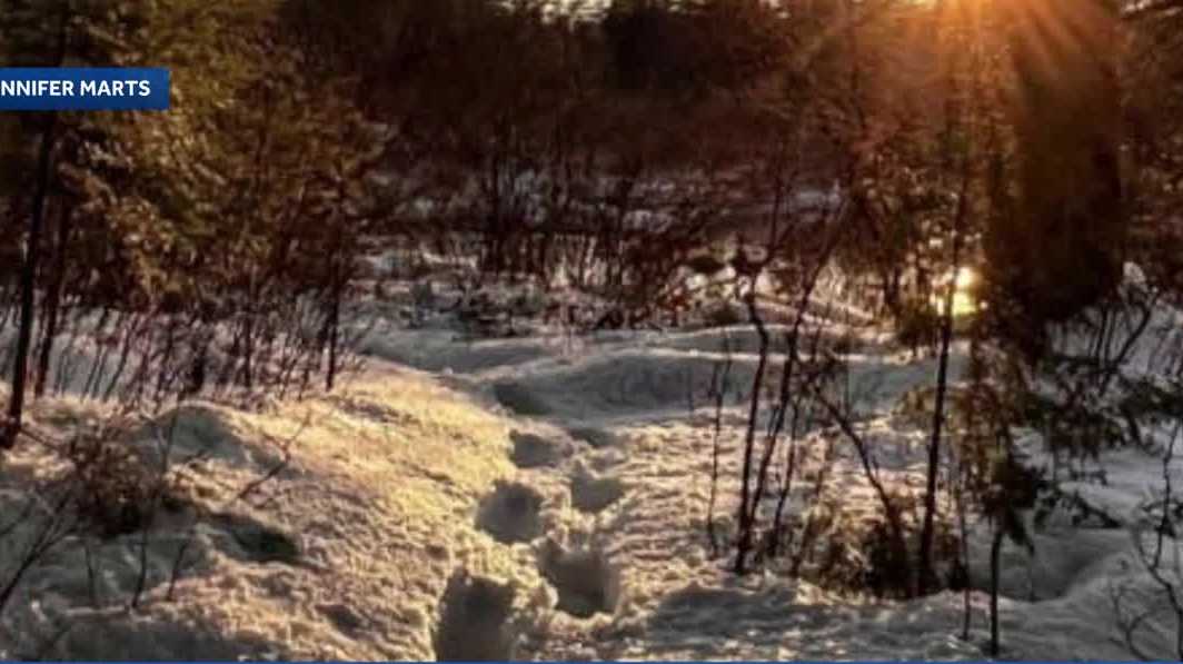 New Hampshire ranks among top states for snowshoeing