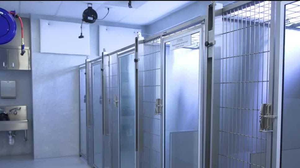 Placer County SPCA opens new veterinary and foster care center