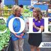 Valley View Farms' guide to planting cole crops at home