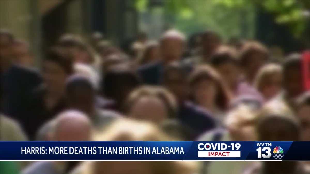www.wvtm13.com