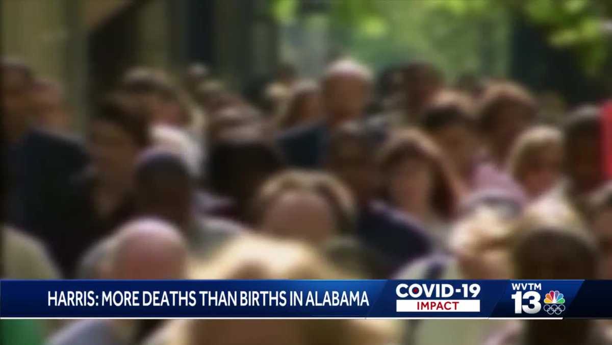 www.wvtm13.com