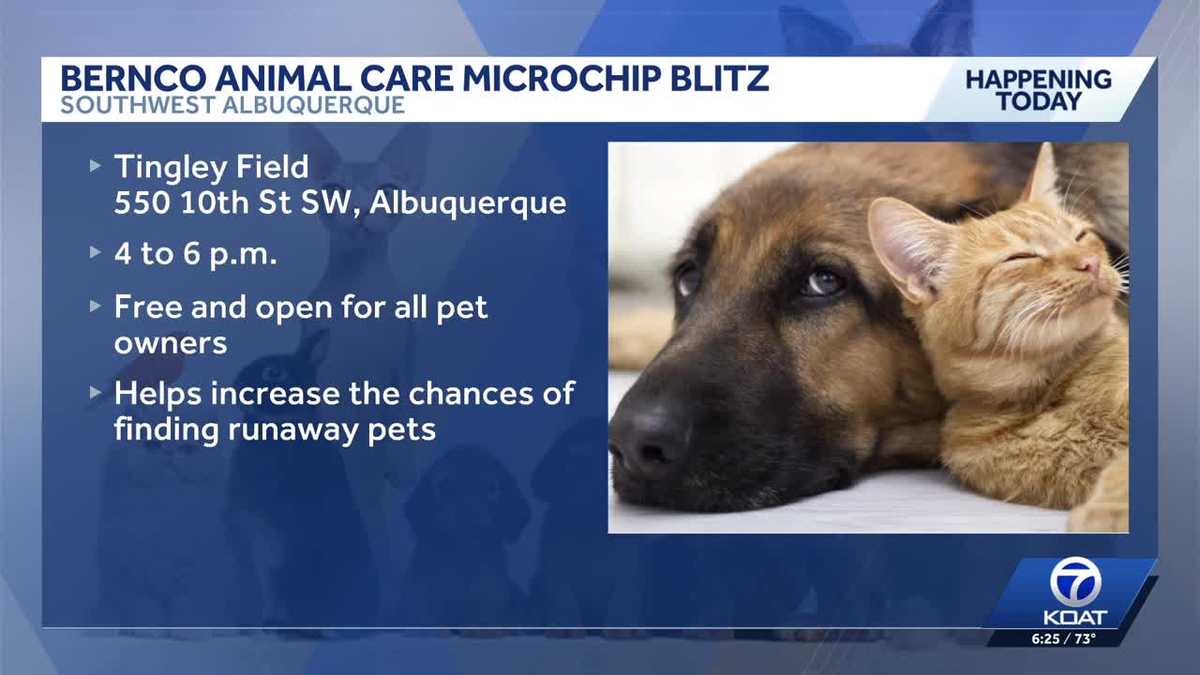 Bernalillo County hosting free microchip events for pets
