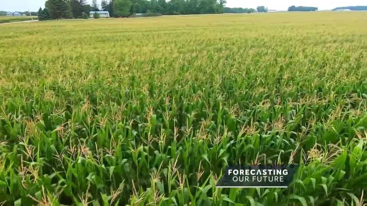 Forecasting Our Future: Growing corn amidst changing weather patterns