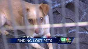 Stanislaus Co. animal shelter overwhelmed after Fourth of July