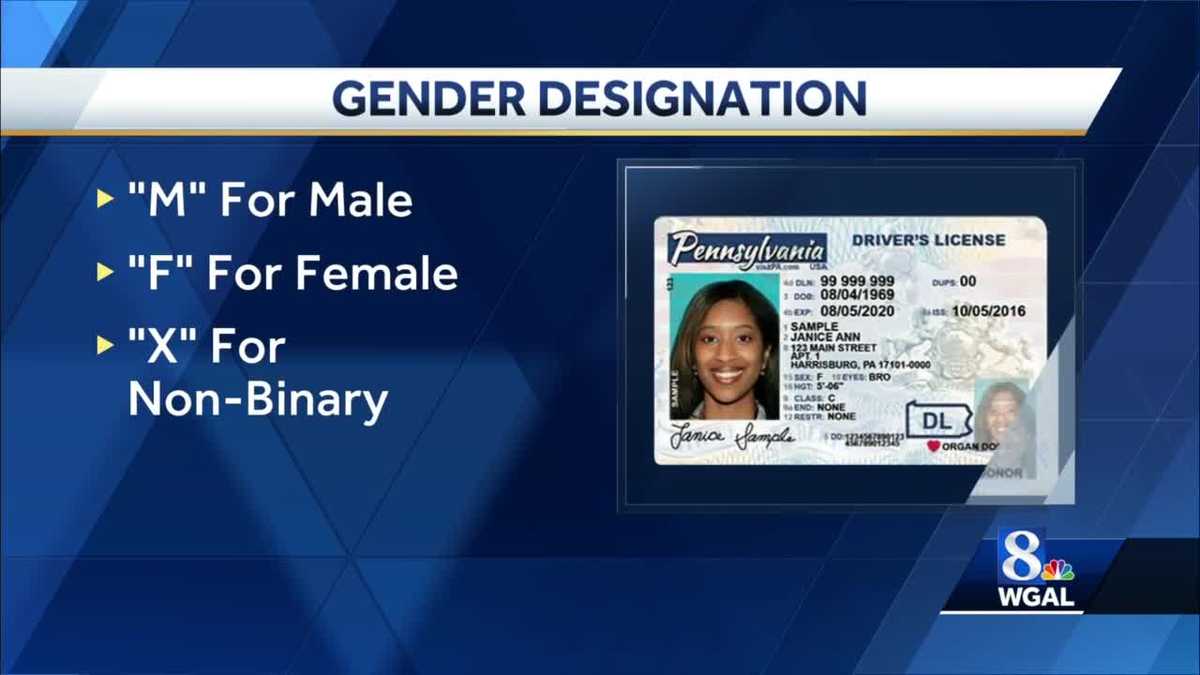 Pennsylvania Offers Non Binary Gender Designation Option On Driver Licenses