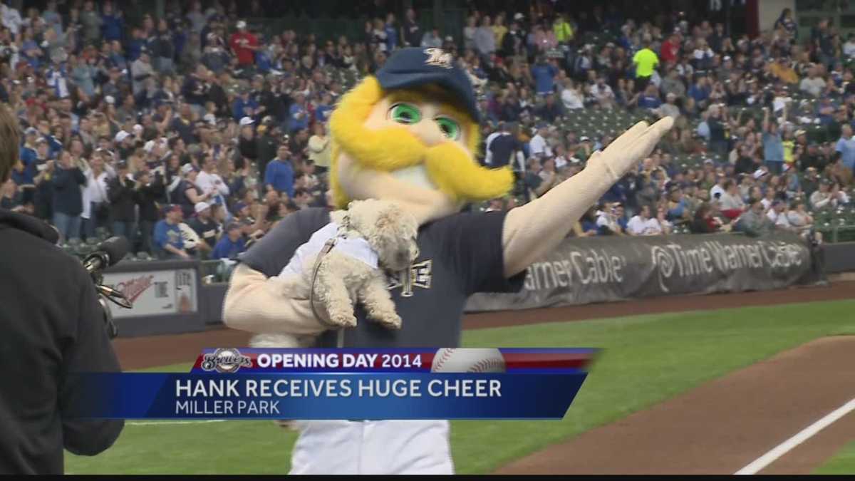 Hank the Ballpark Pup introduced to Miller Park fans