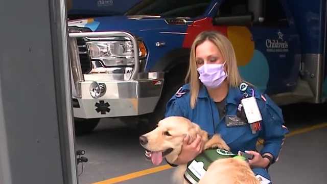Children's Hospital brings therapy dog to support staff - Vimarsana News