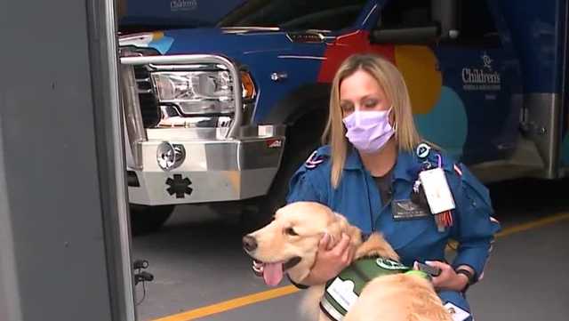 Therapy dog supports staff at Nebraska children's hospital - Vimarsana News