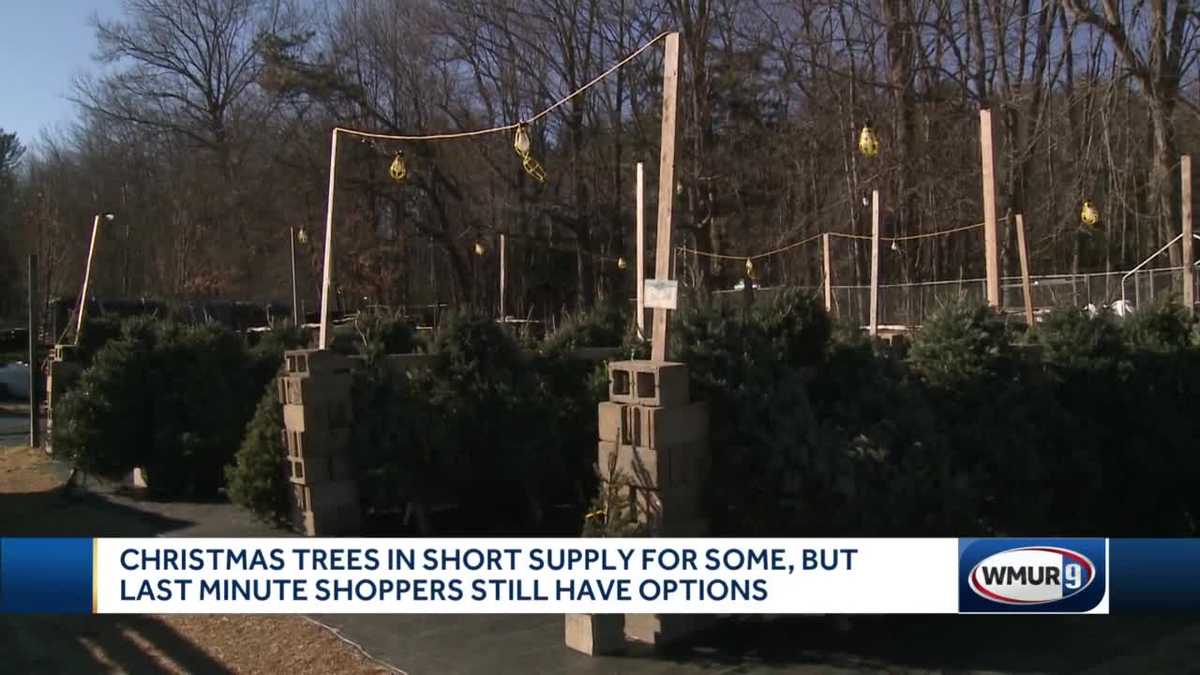 Christmas tree farm supplies vary, but lastminute shoppers have options