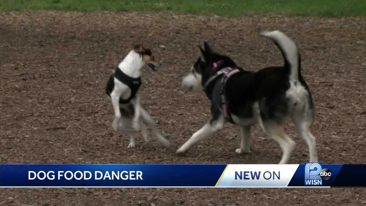 FDA issues warning for pet owners about grainfree diets