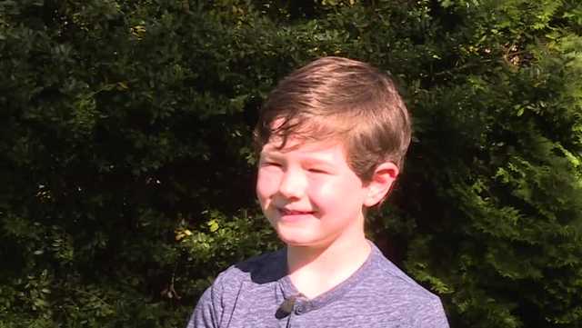 North Carolina boy finds rare six-leaf clover - Vimarsana News