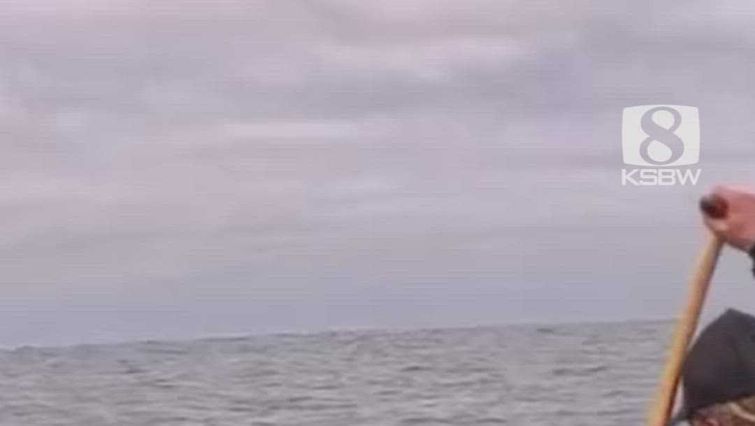 VIDEO: California outrigger race turns wild as sea lion hops aboard crew’s canoe KSBW
