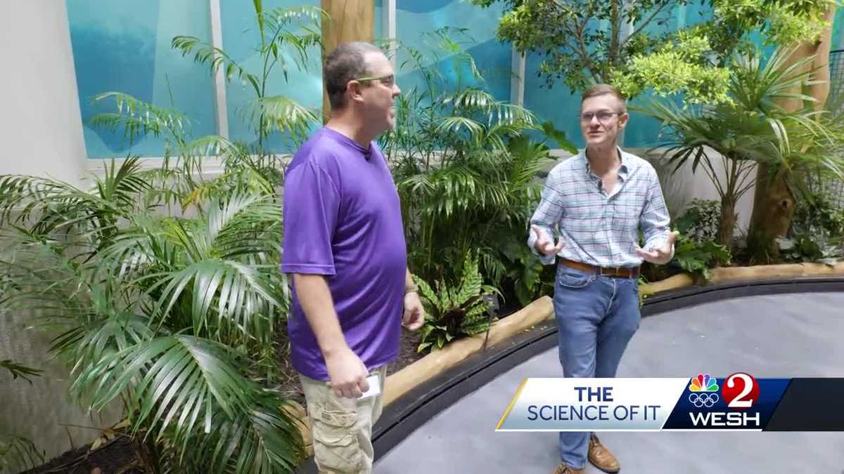 Eric Burris explores the rainforest at the Orlando Science Center