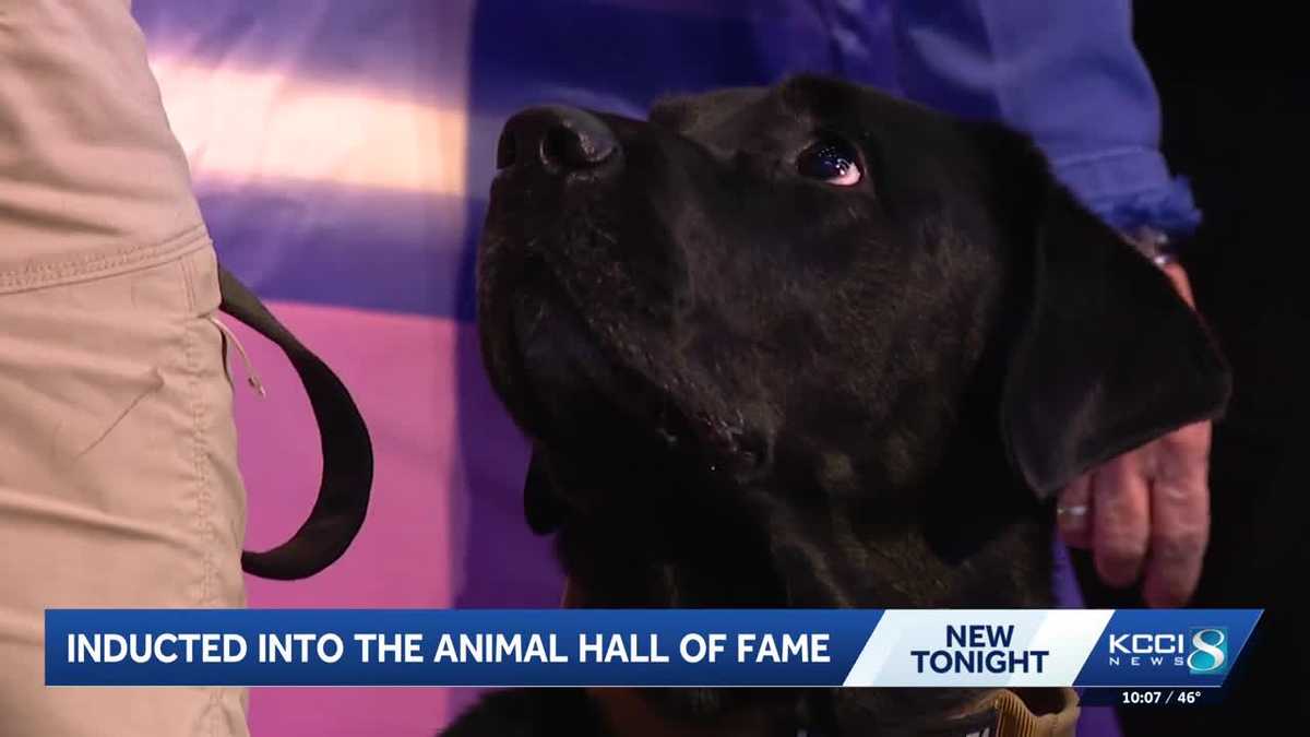 Meet the dogs inducted into the 2026 Iowa Animal Hall of Fame