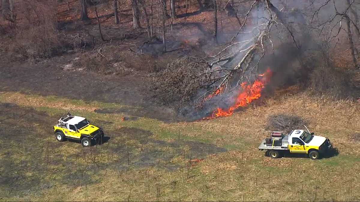 SKY 11 video shows brush fire in Baltimore County