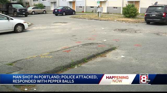 Fourth of July Mayhem in Portland's Kennedy Park - Vimarsana News