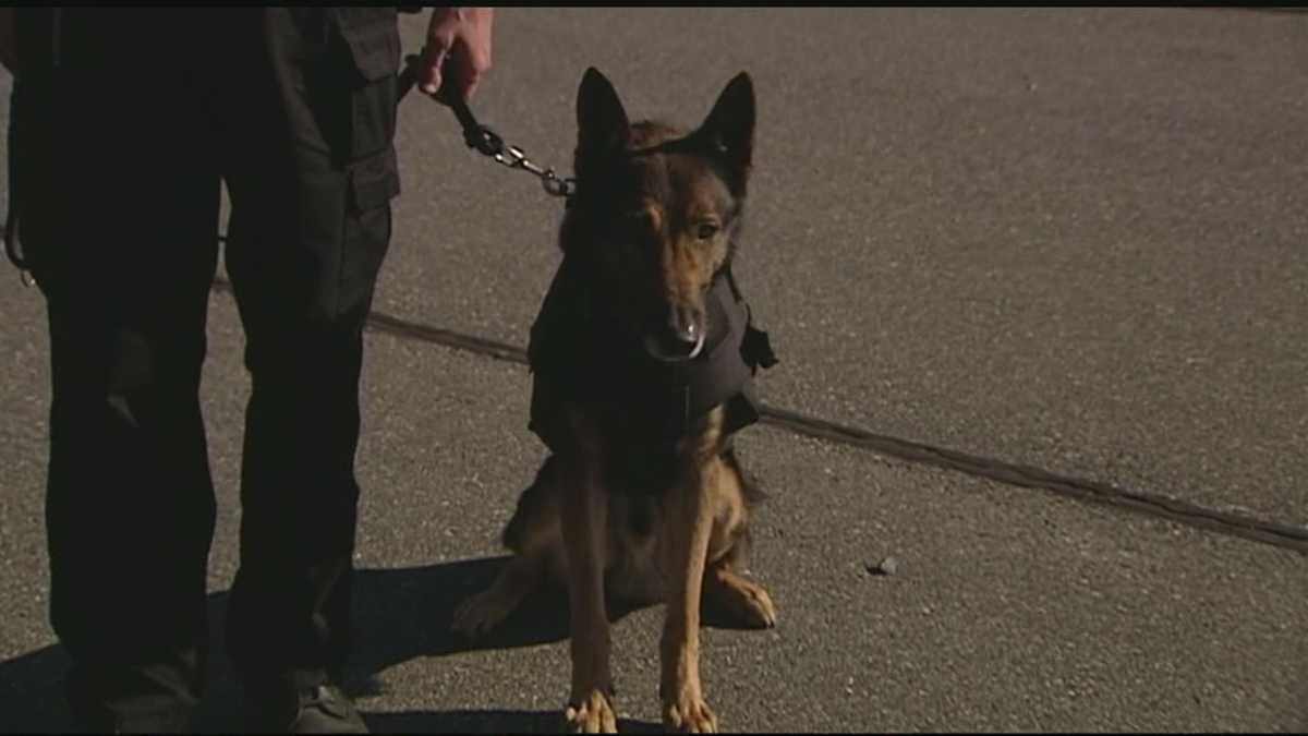 Bulletproof Vests for K9 Officers