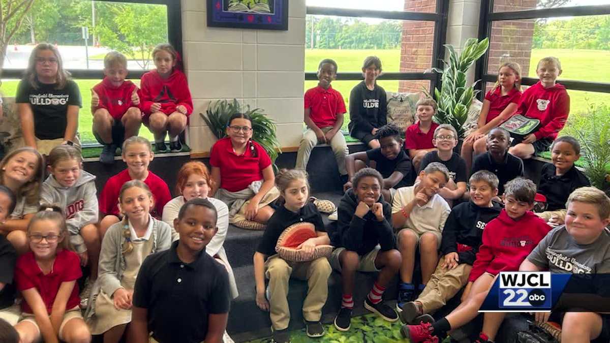 Springfield Elementary School 4th grade classes