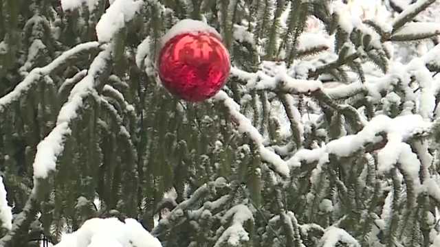 December snow of 2017 in Alabama - Vimarsana News