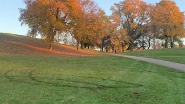 Safety change to Humboldt Park after reckless drivers - Vimarsana News