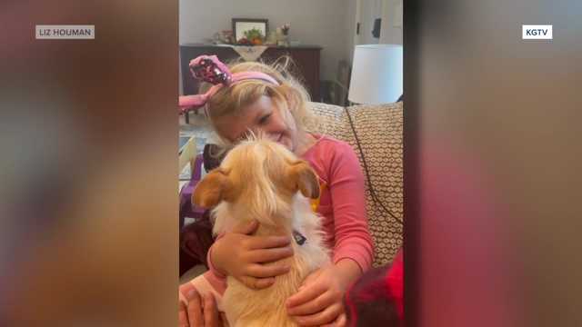 California family reunited with dog found in Michigan - Vimarsana News