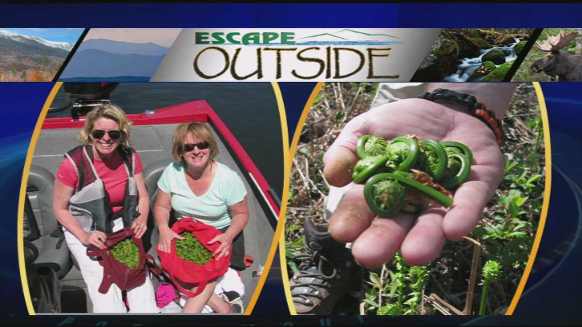 Escape Outside: Bass fishing; fiddleheads