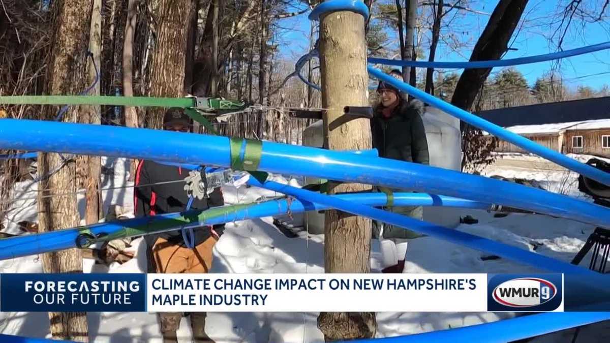 Climate change will affect New Hampshire's maple industry