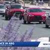 APD detail use of 19,000 camera views and license plate readers