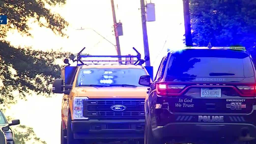 Man arrested after multi-county chase involving stolen truck