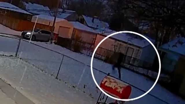 Manhunt on for killer of Milwaukee letter carrier - Vimarsana News