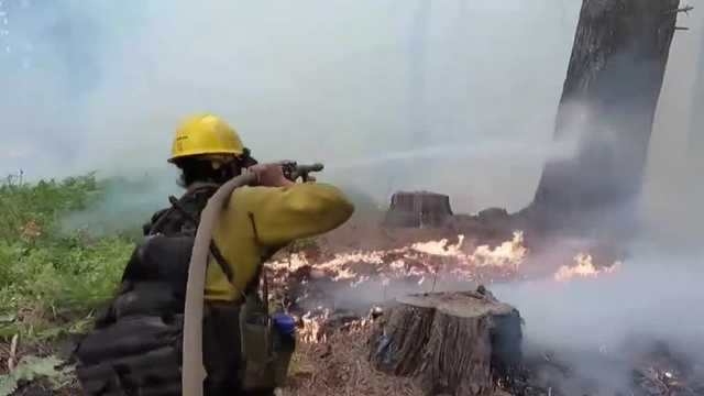 Federal fire crews fight for better pay, benefits - Vimarsana News