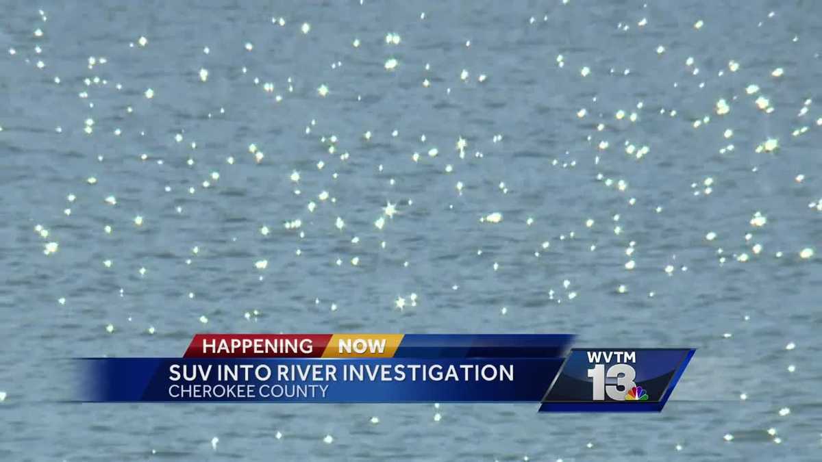 Leesburg boat ramp crash may have been intentional